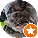 Stanley Jr Ayotte profile picture