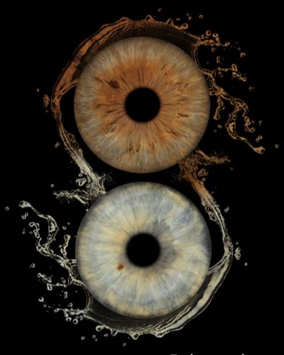 iris photo artiris fusion aquatique