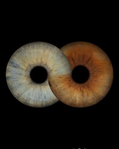 iris photo artiris infiniment vous