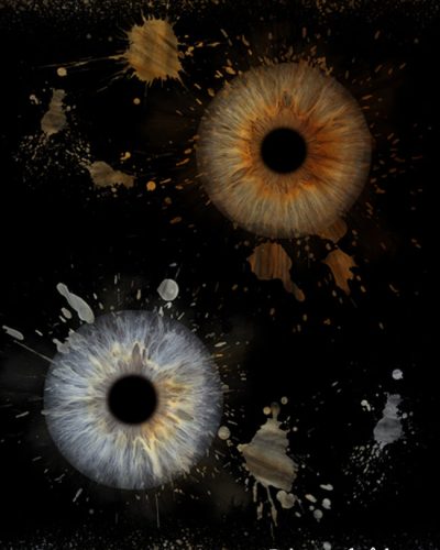 iris photo artiris peinture fraîche