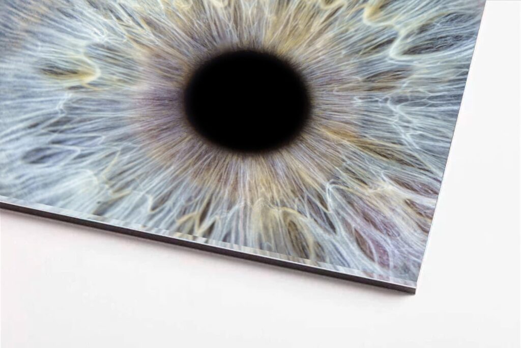 acrylic premium (1) (1)